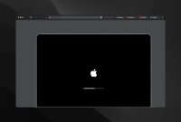 How to fix a Mac that is stuck on the Apple logo screen